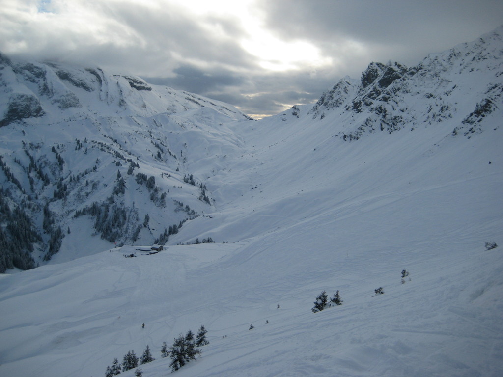 img_7636cau5b.jpg