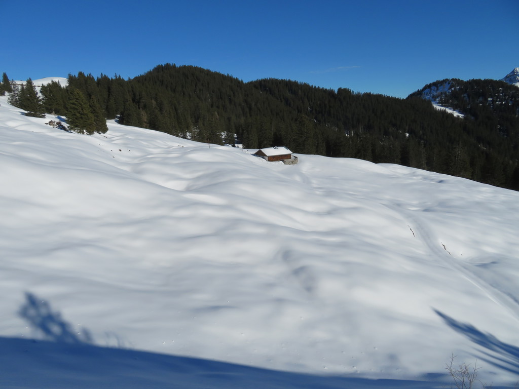 img_9359jfkhw.jpg