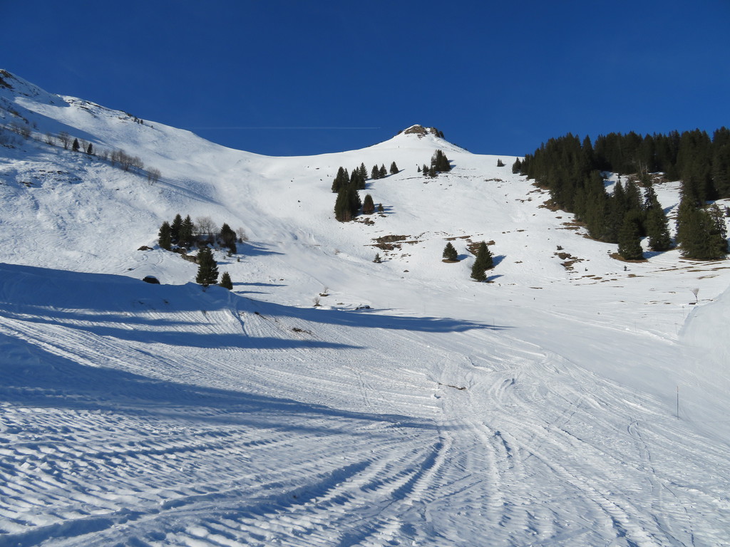 img_96882wj9f.jpg