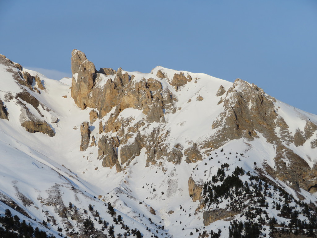 img_997014ki0.jpg