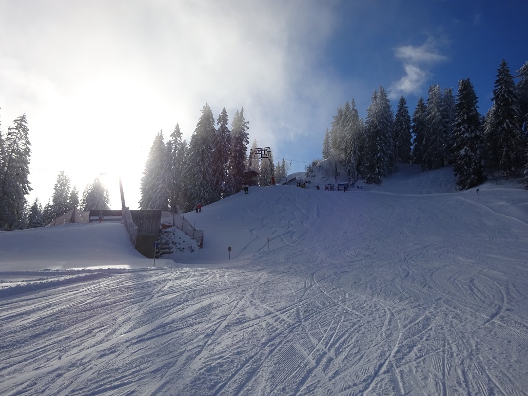 dsc0076314hjlo.jpg