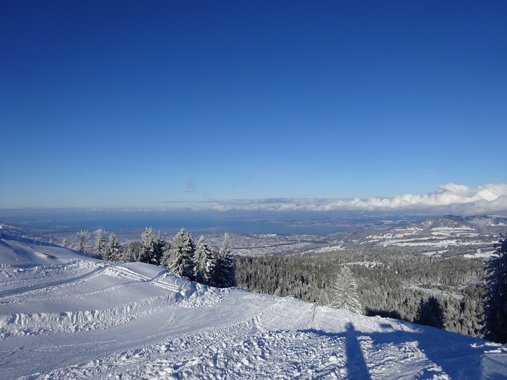dsc007681uxkt1.jpg