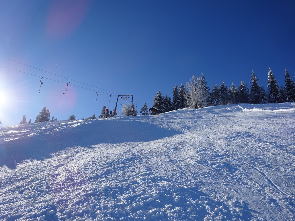 dsc007711ghkza.jpg