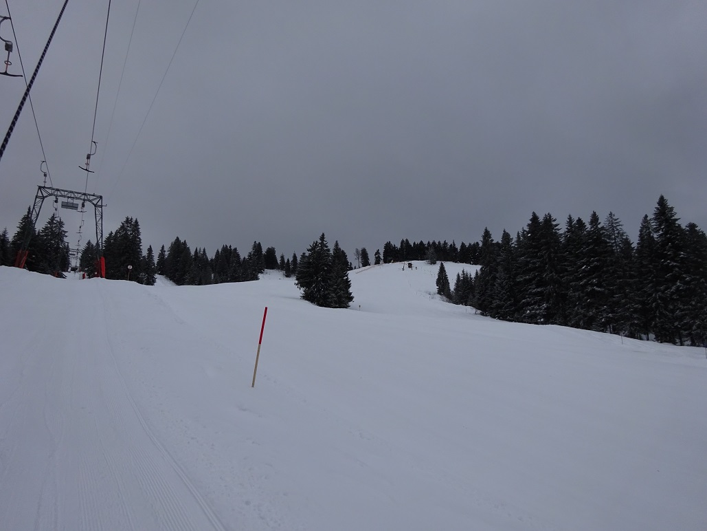 dsc007761efjip.jpg