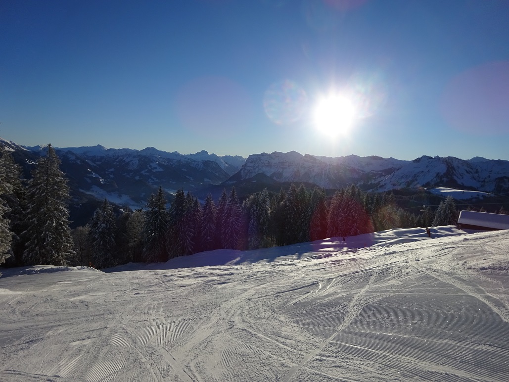 dsc007981ftjgf.jpg