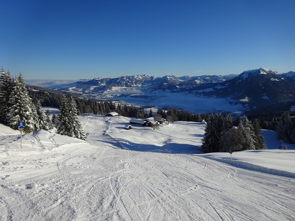 dsc008011lkkkv.jpg