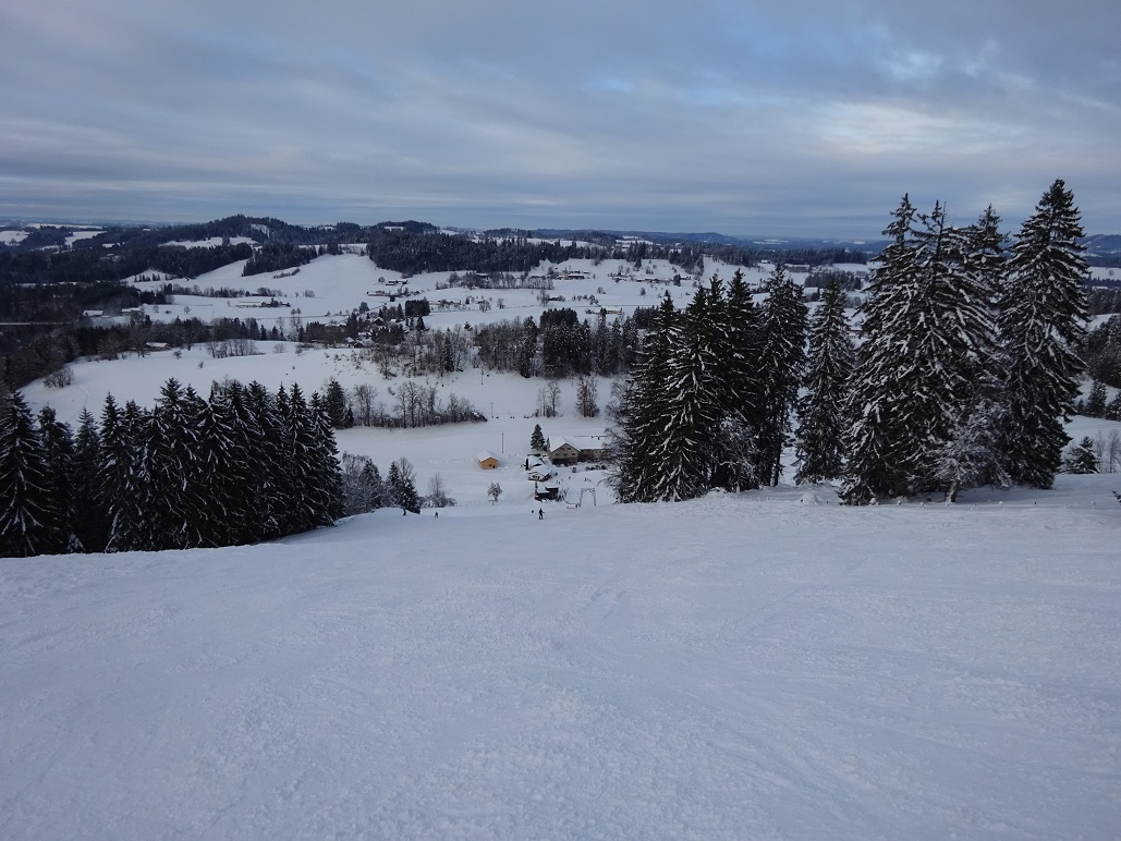 dsc008131spjd8.jpg