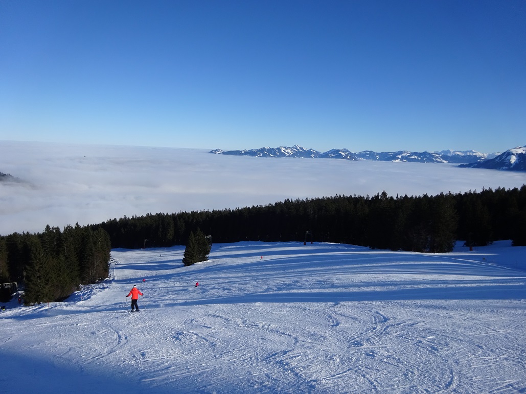 dsc008421y3kaa.jpg