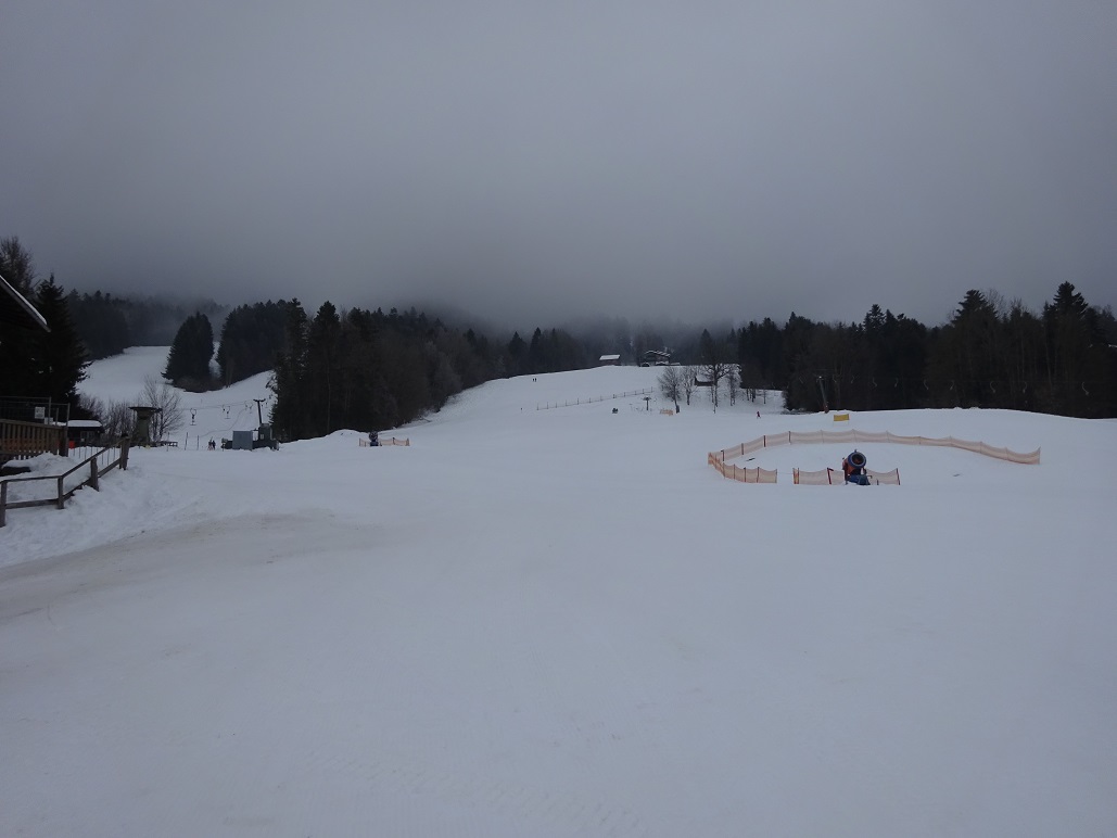 dsc008431jzjfz.jpg
