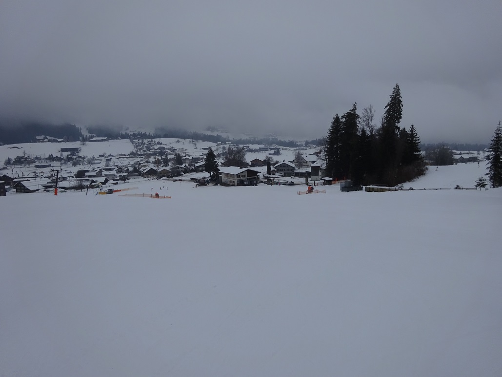 dsc008451drk3t.jpg