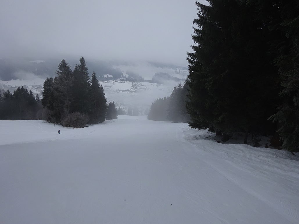 dsc008521fpkaa.jpg