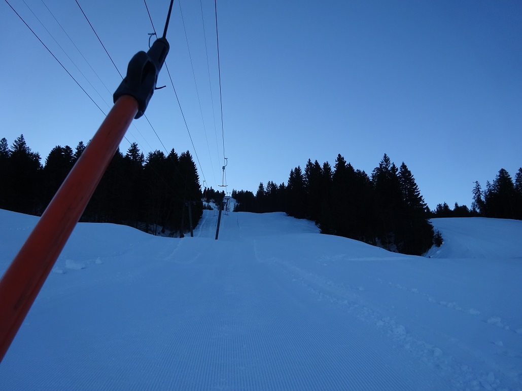 dsc008771plkcb.jpg