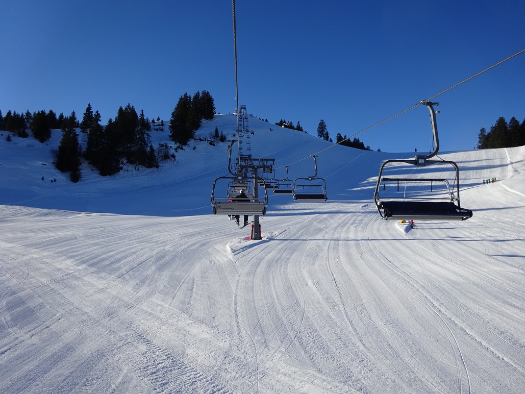 dsc008841xwj7l.jpg
