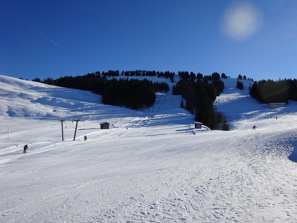 dsc009121xsjqb.jpg