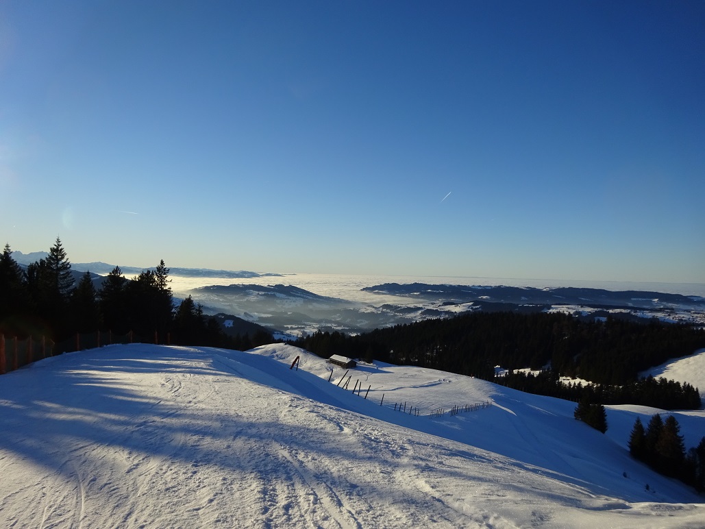 dsc0091415sjbl.jpg