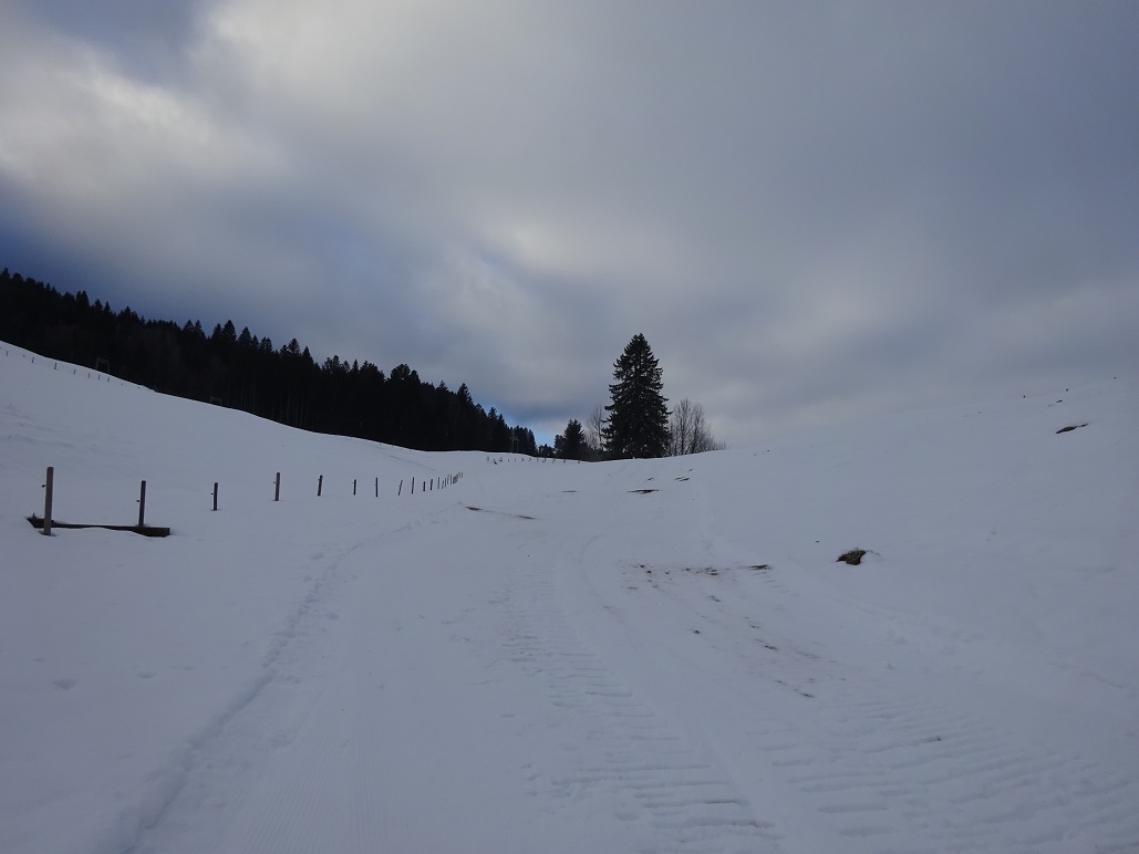 dsc009211d1j7i.jpg