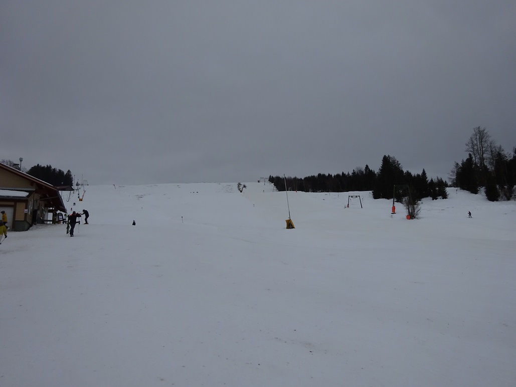 dsc009611qzk71.jpg