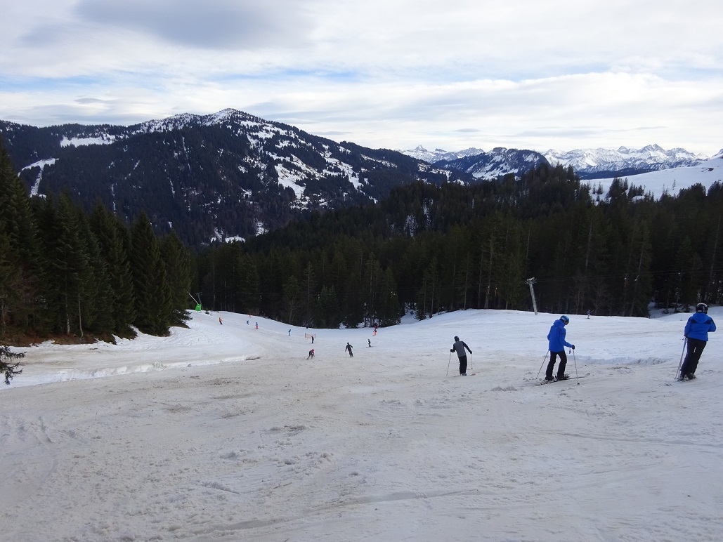 dsc00979105kfw.jpg