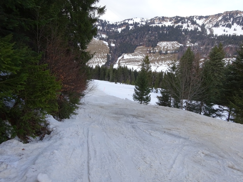 dsc009811hsjz8.jpg