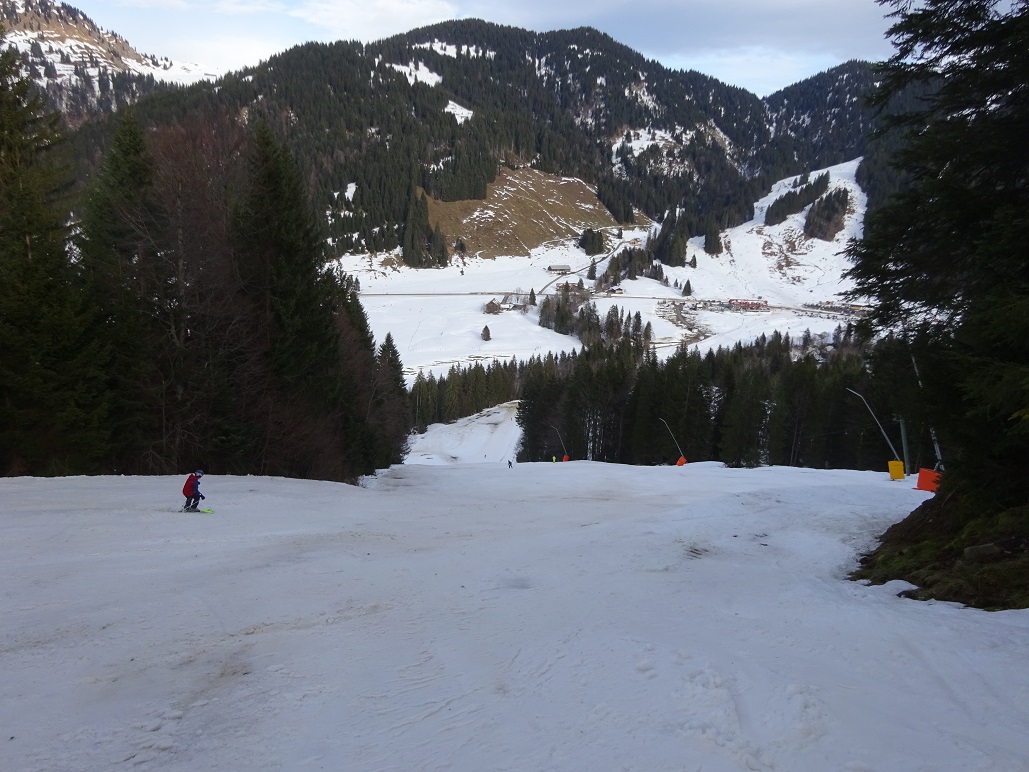 dsc009831m0j5p.jpg