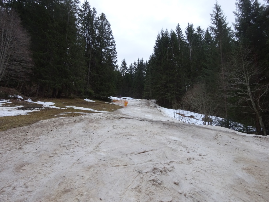 dsc00991179klc.jpg