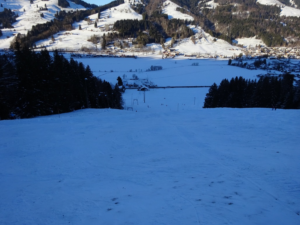 dsc010211xkkdy.jpg