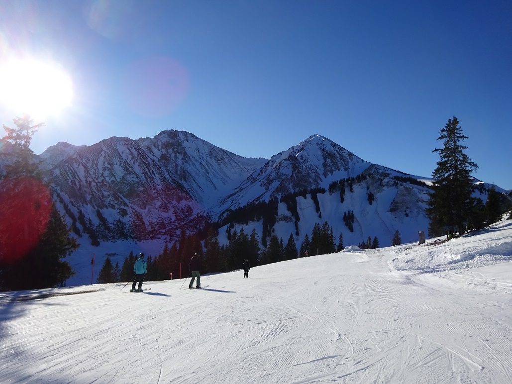 dsc010291cjjg8.jpg