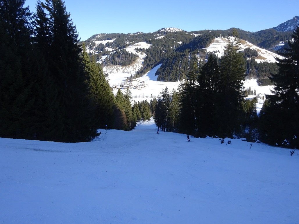 dsc0103516wj93.jpg