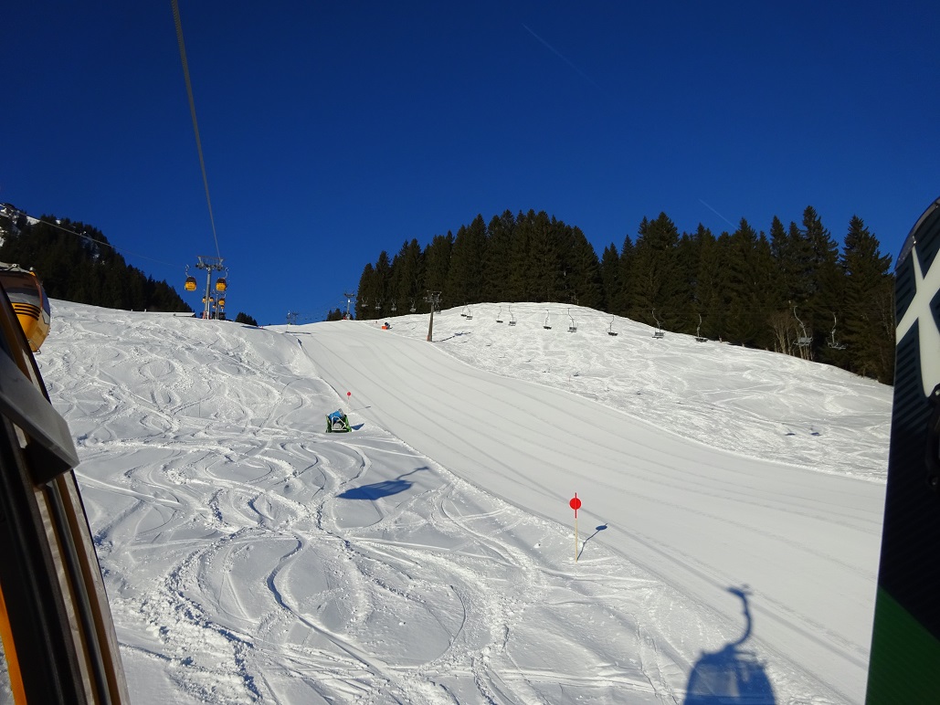 dsc010391smkpz.jpg