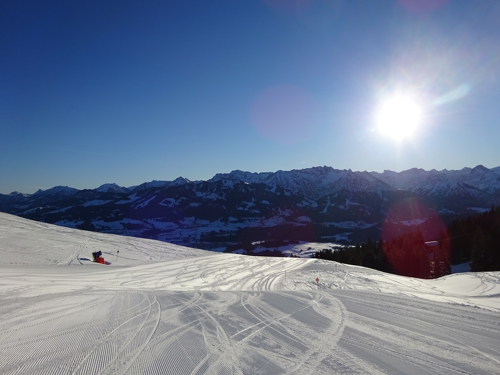 dsc010411qak9t.jpg