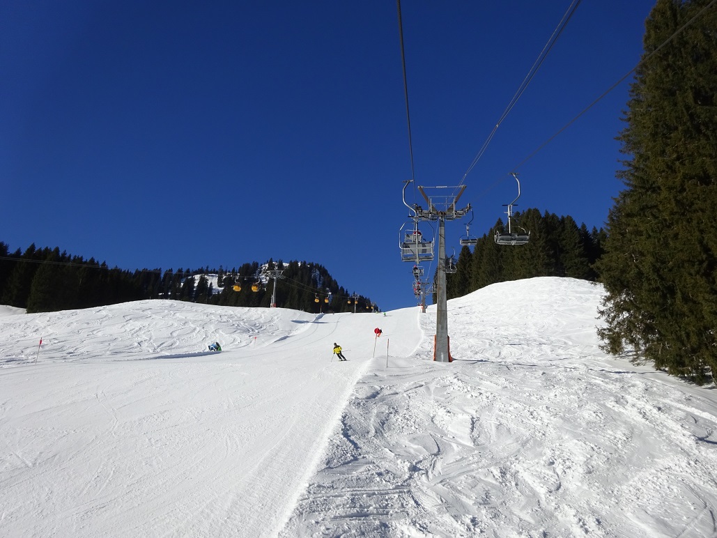 dsc010491qrj3w.jpg