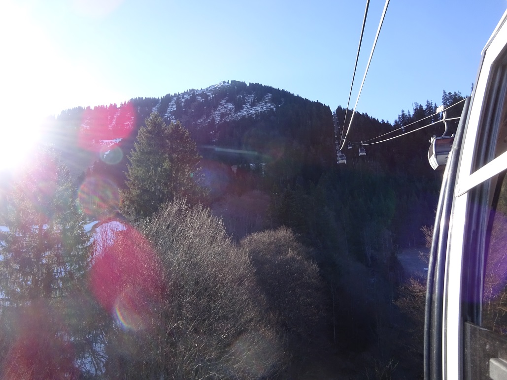 dsc011761t2j5l.jpg