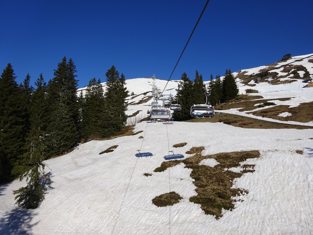dsc011841sfjur.jpg