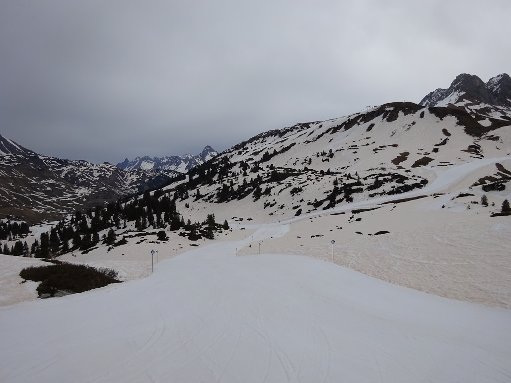 dsc012231rzjuk.jpg