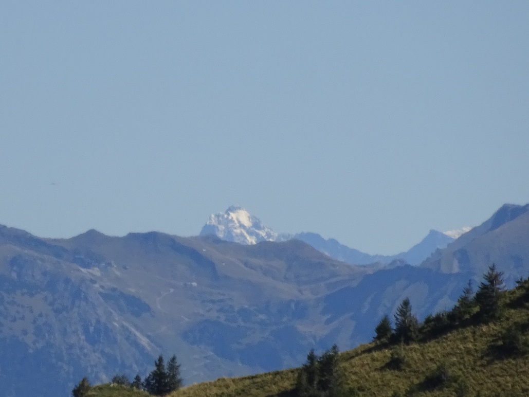 dsc0172818oe49.jpg
