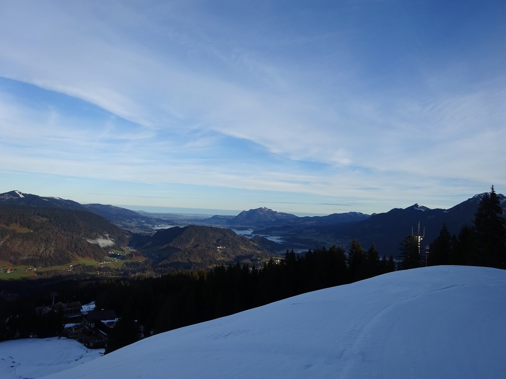 dsc018511tnf42.jpg