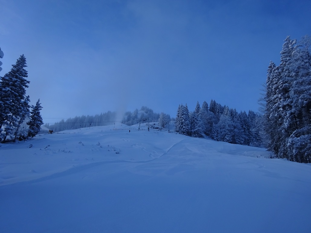 dsc0191515qego.jpg