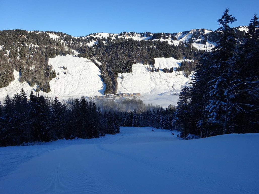 dsc0192214cel5.jpg