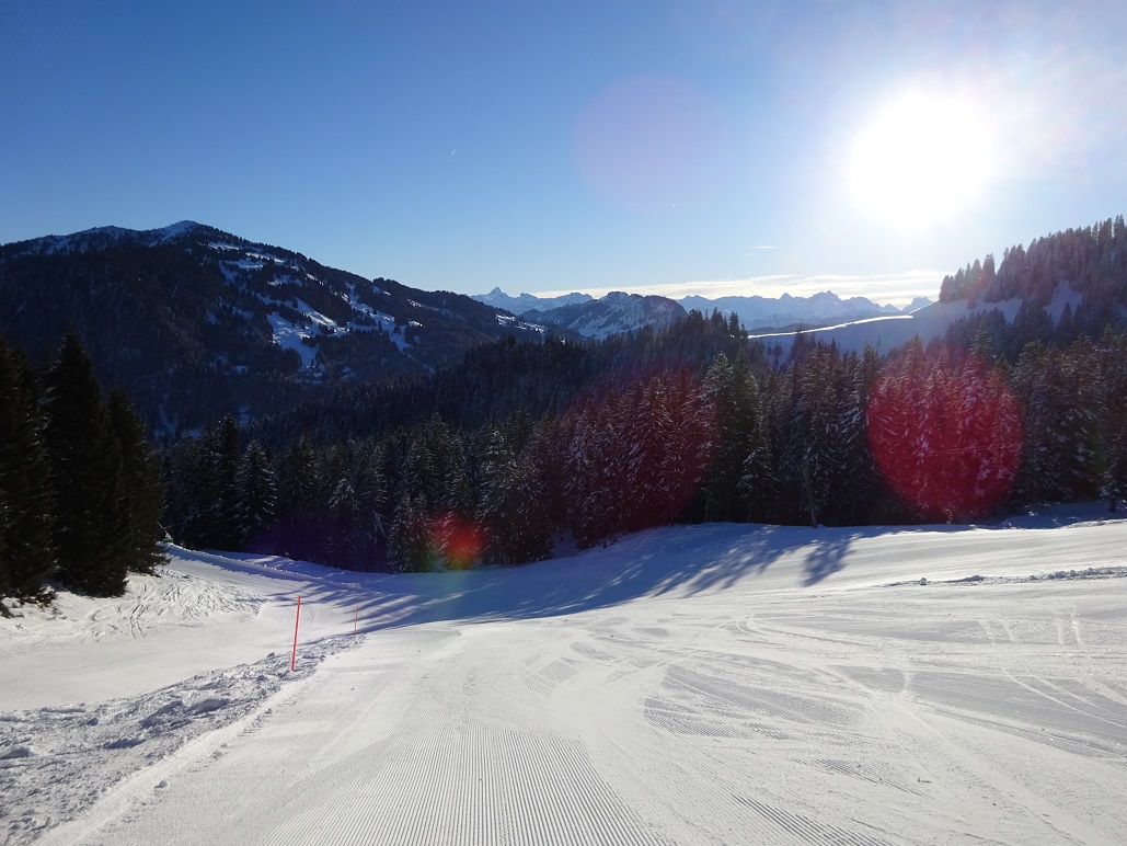 dsc019241dhfrk.jpg