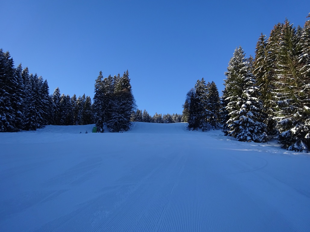 dsc019251wudv0.jpg