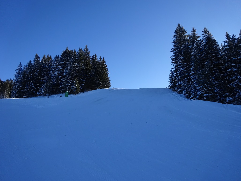 dsc019291y1eq5.jpg
