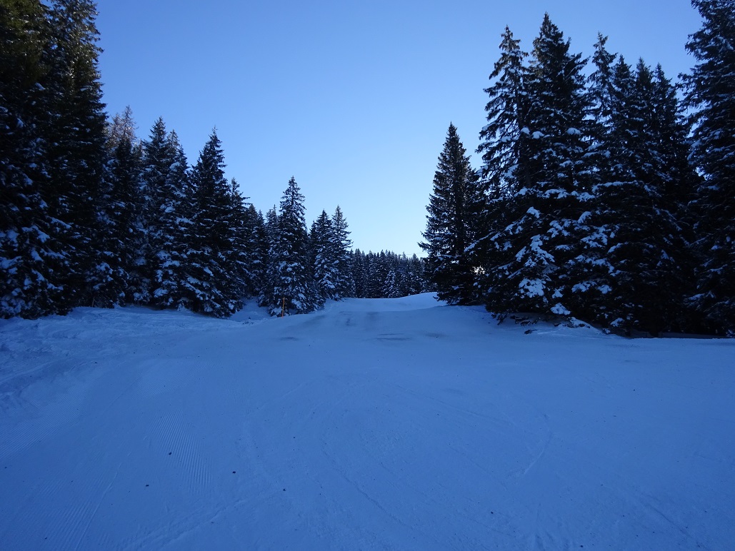 dsc0193118vc8h.jpg