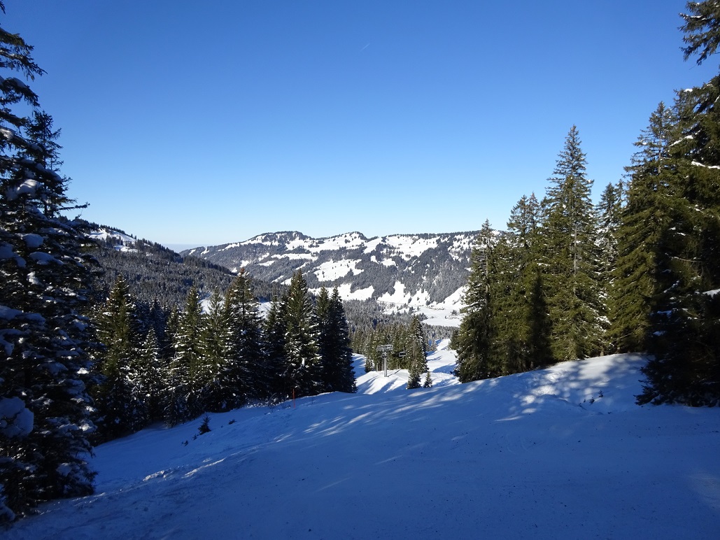 dsc019321gii77.jpg