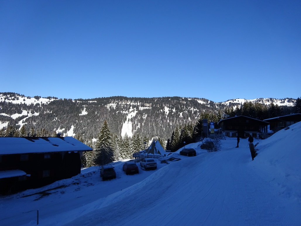 dsc0193314xif8.jpg