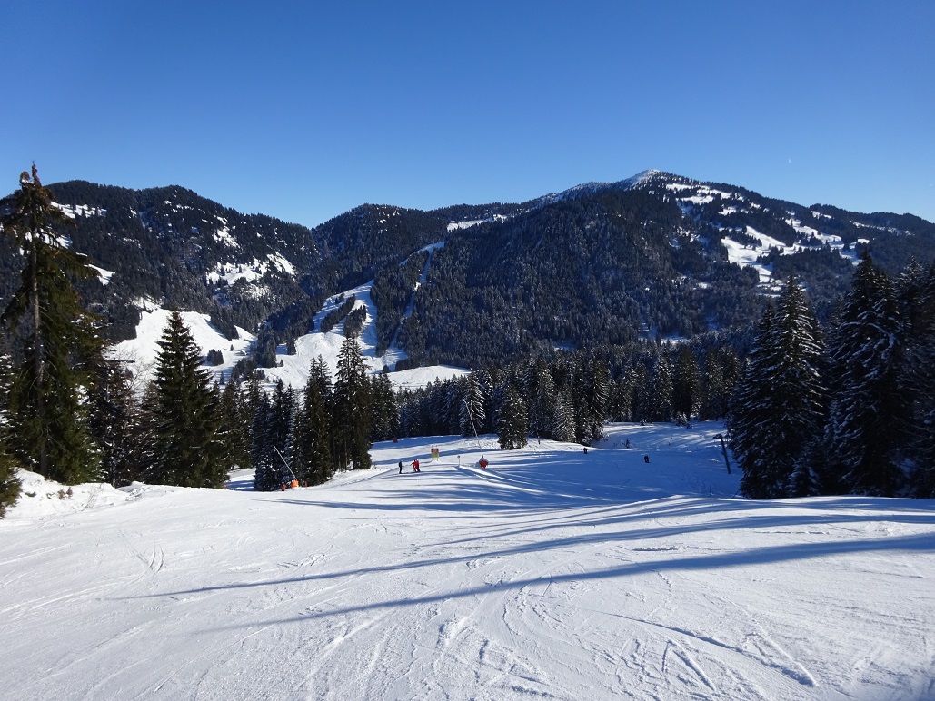 dsc019351ywi4c.jpg
