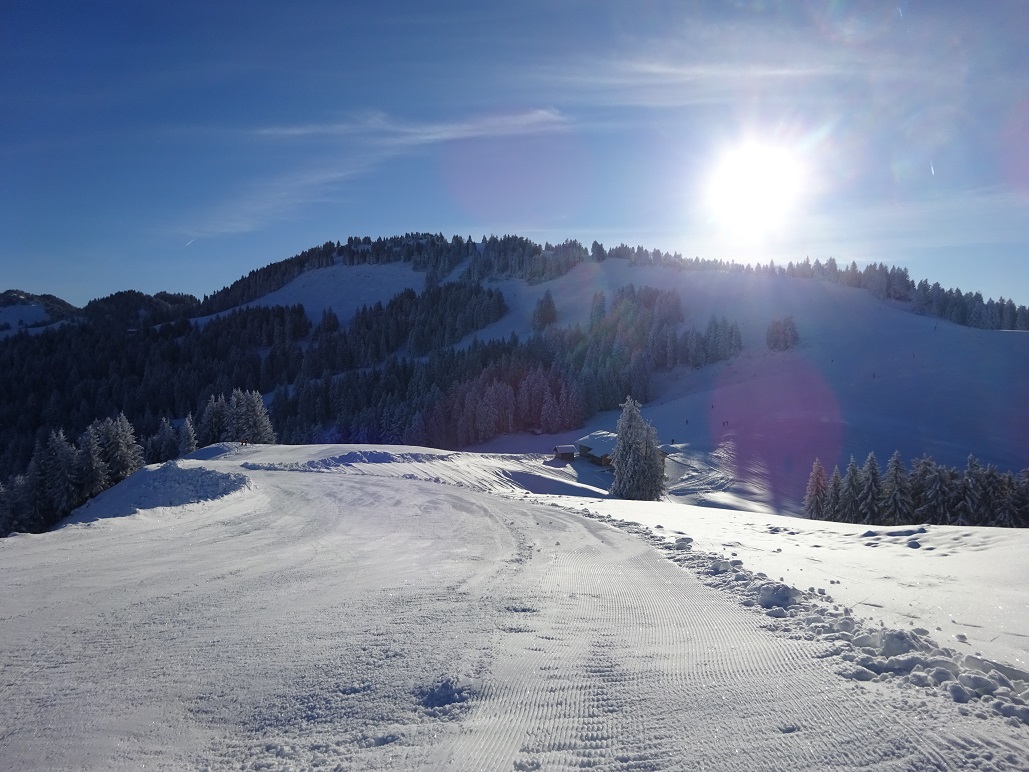 dsc019481z3ewb.jpg