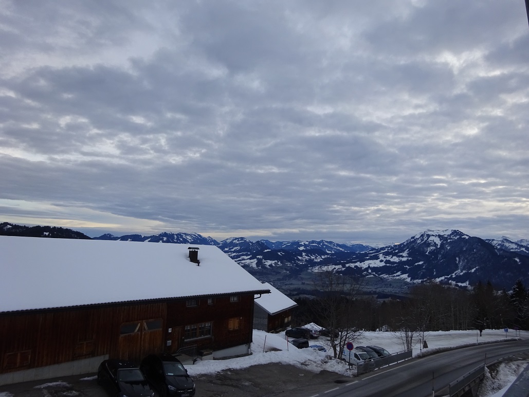 dsc019831rfd6a.jpg