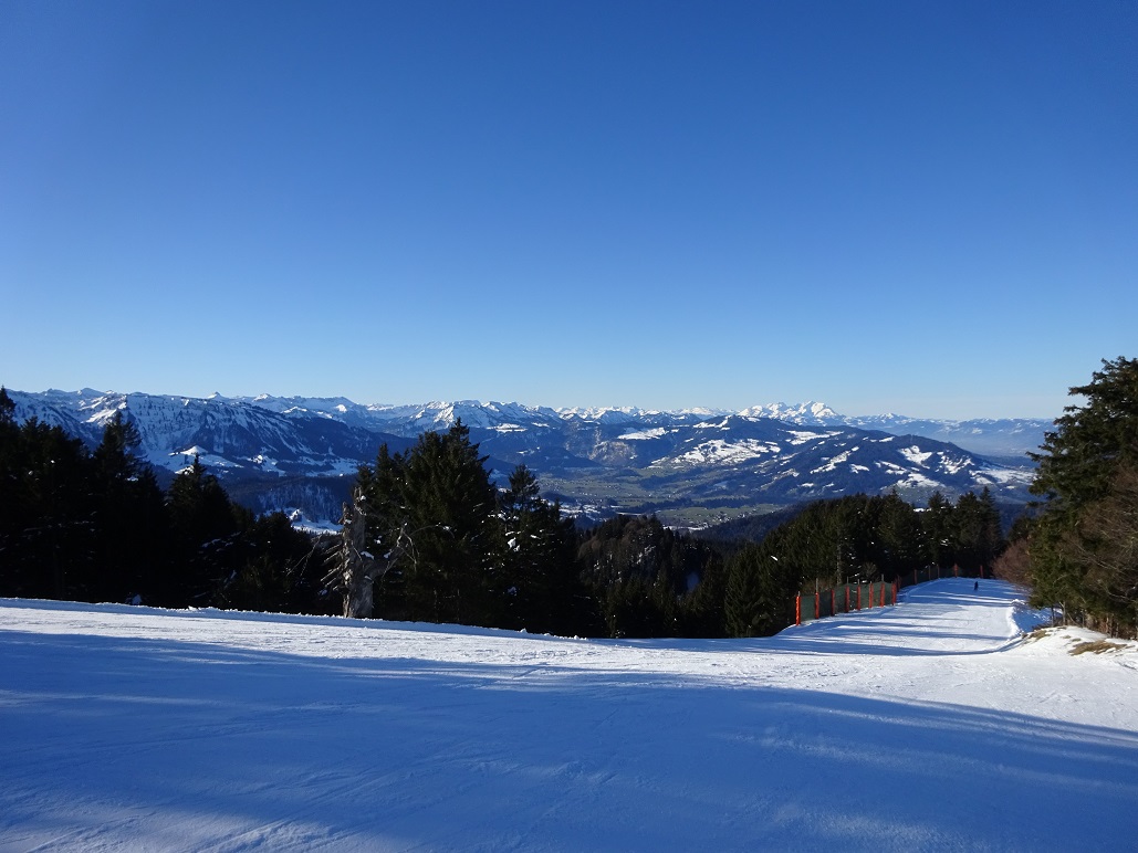 dsc020001z6fcg.jpg