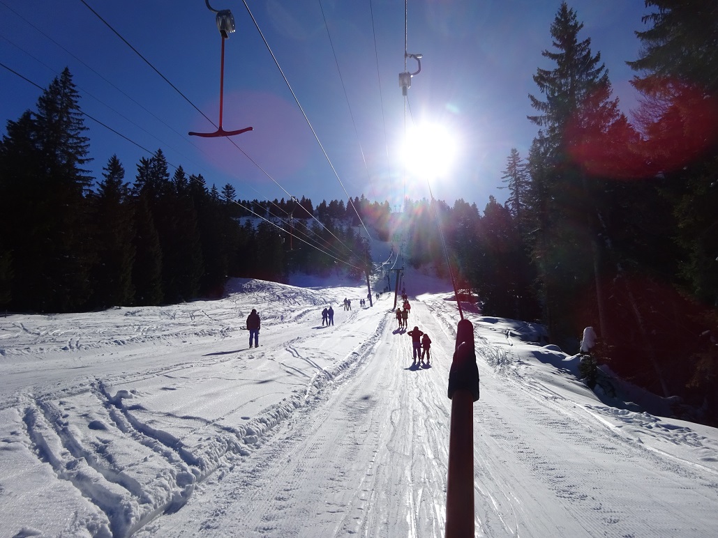 dsc020011ybcs7.jpg