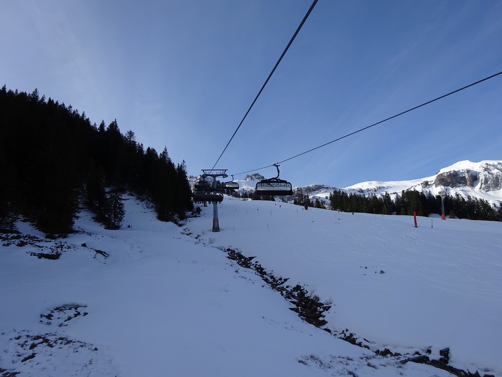 dsc020531zrcuc.jpg